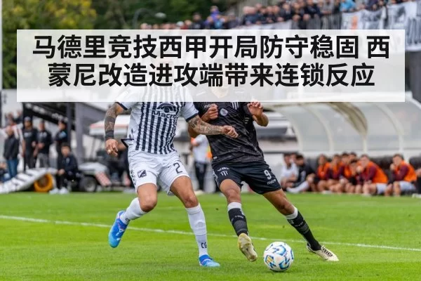 soccer stadium match action